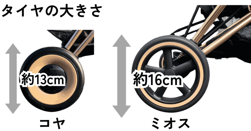 コヤ約13cm
ミオス約16cm