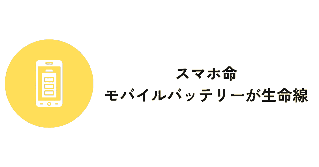 今のディズニーではほぼ必須！モバイルバッテリーを忘れずに