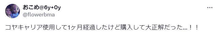 サイベックスコヤキャリアの口コミ②