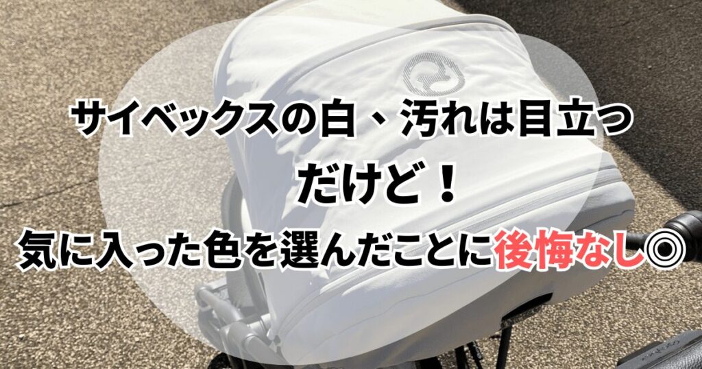 【まとめ】サイベックスリベル・メリオは汚れが目立つけど、お気に入りカラーは満足度が高い