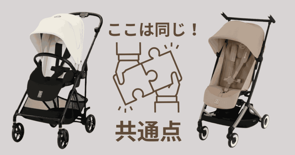 サイベックスメリオカーボン リベル 共通点