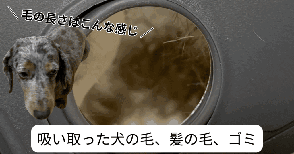 Dreame L10s Ultra Gen2 レビュー
吸い取った犬の毛や髪の毛などのゴミ
