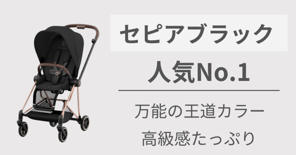 1番人気の色が欲しい人には【セピアブラック】がおすすめ