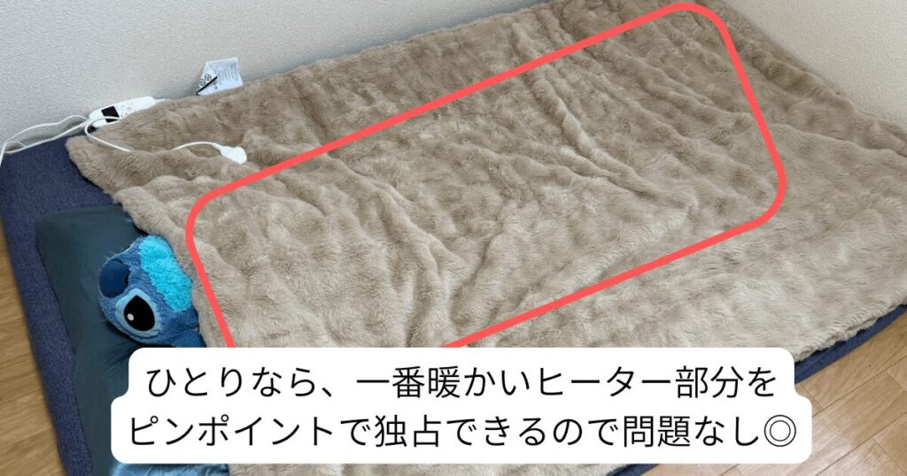 ハゴオギの電気毛布はひとり使いが基本