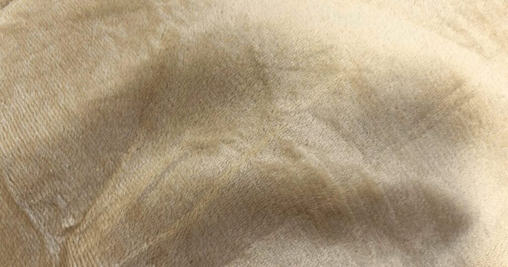 ハゴオギ電気毛布 裏面