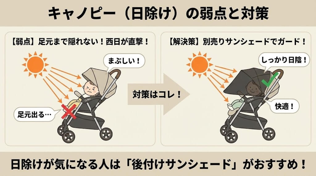 オルフェオの日除け（キャノピー）