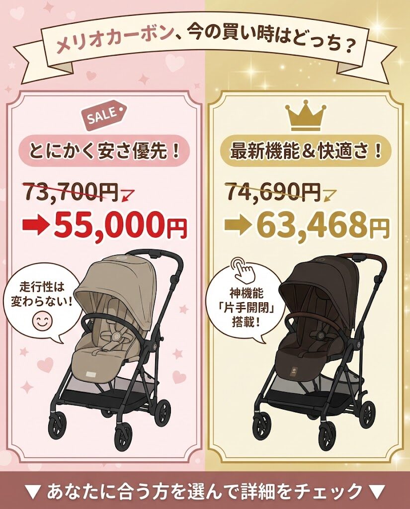 メリオカーボン2024モデルと2025モデルの最安値とどっちを買うべきか?